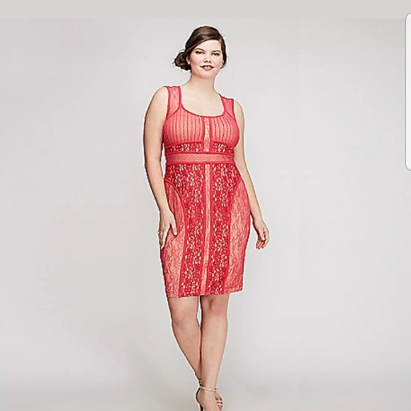 Lane Bryant Dresses & Skirts - Lane Bryant Mixed Lace Bodycon Dress - Pink